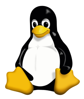 Je travail principalement avec des logiciels fonctionnent sous Linux